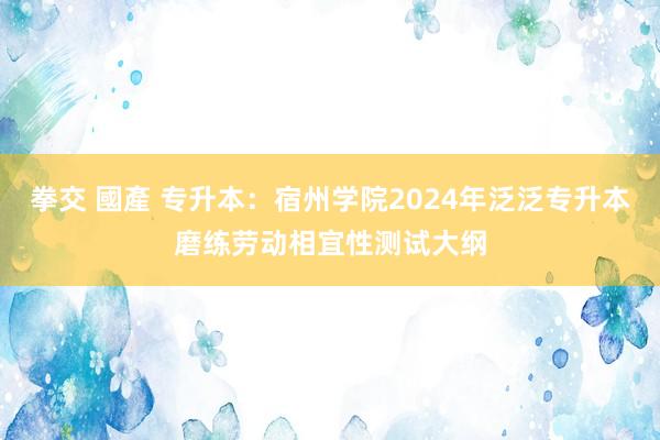 拳交 國產 专升本：宿州学院2024年泛泛专升本磨练劳动相宜性测试大纲