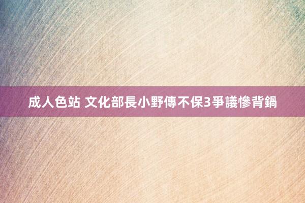 成人色站 文化部長小野傳不保　3爭議慘背鍋