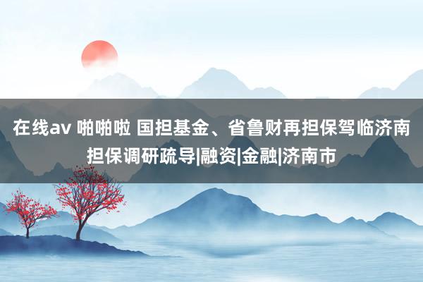 在线av 啪啪啦 国担基金、省鲁财再担保驾临济南担保调研疏导|融资|金融|济南市