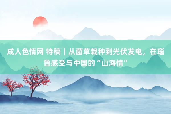 成人色情网 特稿｜从菌草栽种到光伏发电，在瑙鲁感受与中国的“山海情”