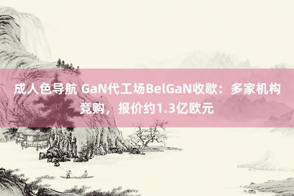 成人色导航 GaN代工场BelGaN收歇：多家机构竞购，报价约1.3亿欧元