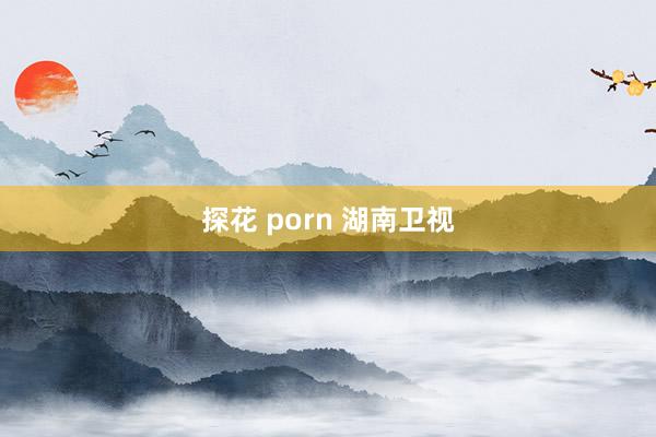 探花 porn 湖南卫视