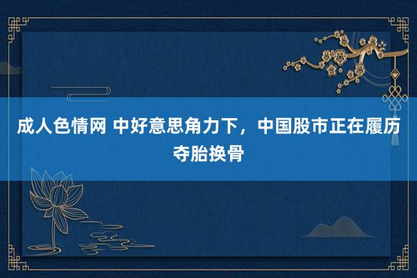 成人色情网 中好意思角力下，中国股市正在履历夺胎换骨